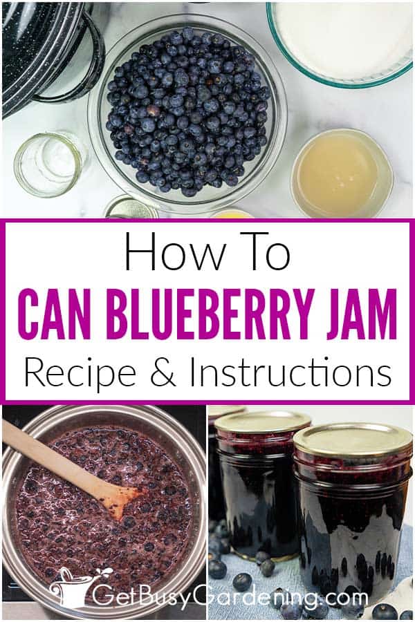 How To Can Blueberry Jam Recipe & Instructions
