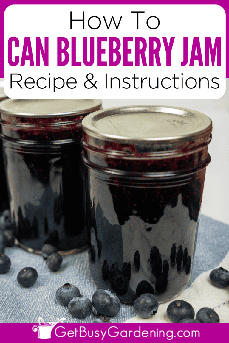 Canning Blueberry Jam Recipe & Instructions
