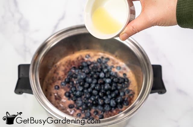Combining the blueberry jam ingredients