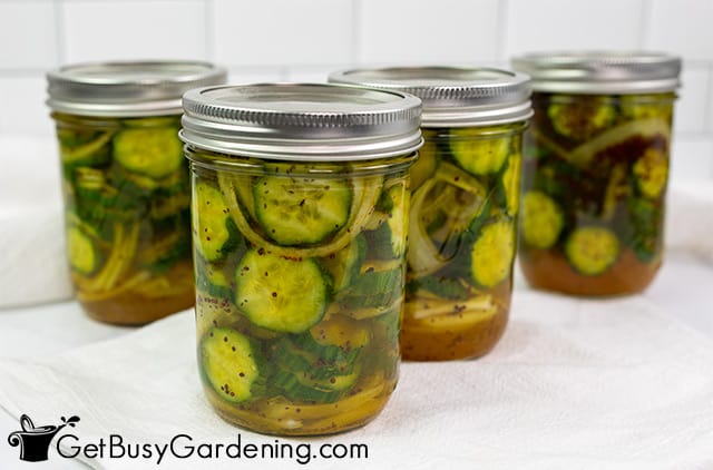 Cooling jars of bread and butter pickles before storing