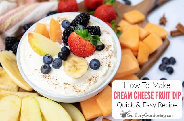 Simple Cream Cheese Fruit Dip Recipe