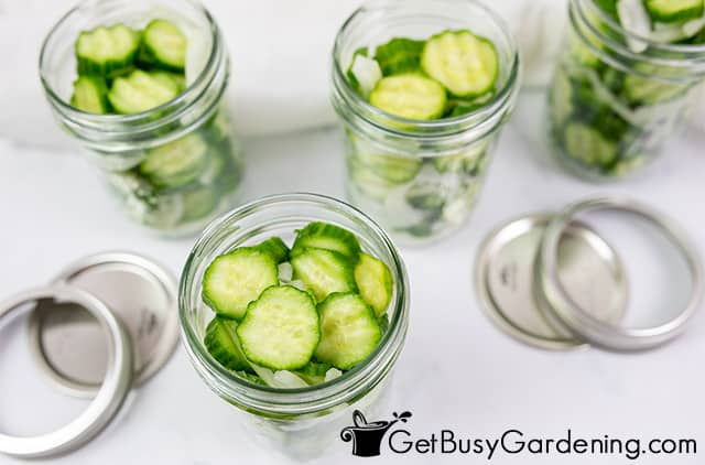 Cucumbers and onions packed in jars for b&b pickles