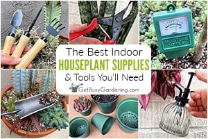 Houseplant Tools