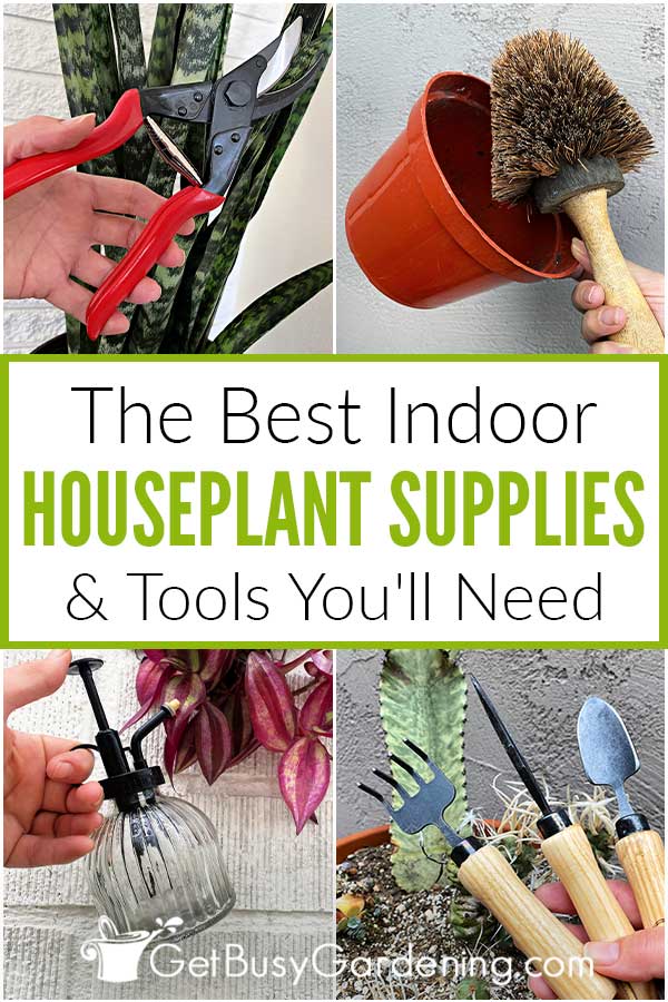 The Best Indoor Houseplant Supplies & Tools You'll Need