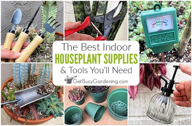 The Best Indoor Houseplant Supplies, Tools & Equipment