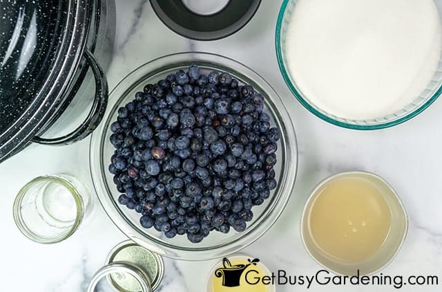 Ingredients for canning blueberry jam