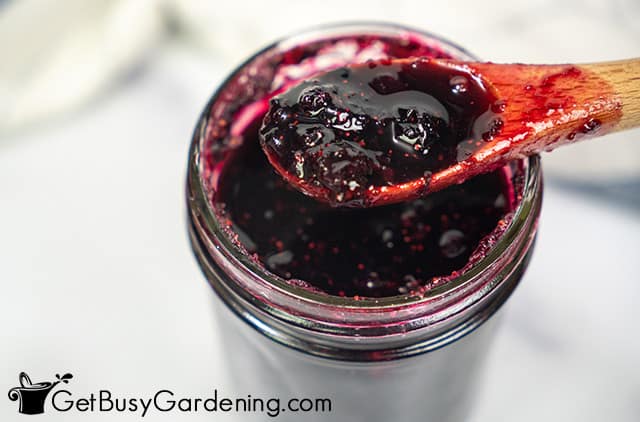 Jar of homemade canned blueberry jam