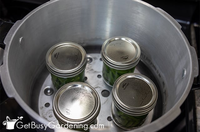 Jars of green beans in a pressure canner