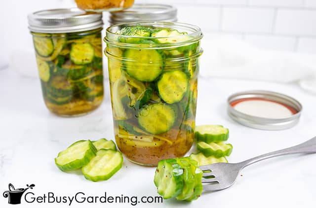 Old fashioned bread and butter pickles