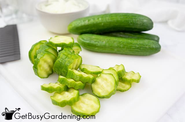 Slicing cucumbers for bread and butter pickles