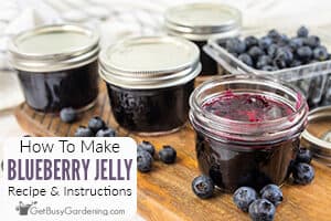 How To Make Blueberry Jelly: Easy Recipe