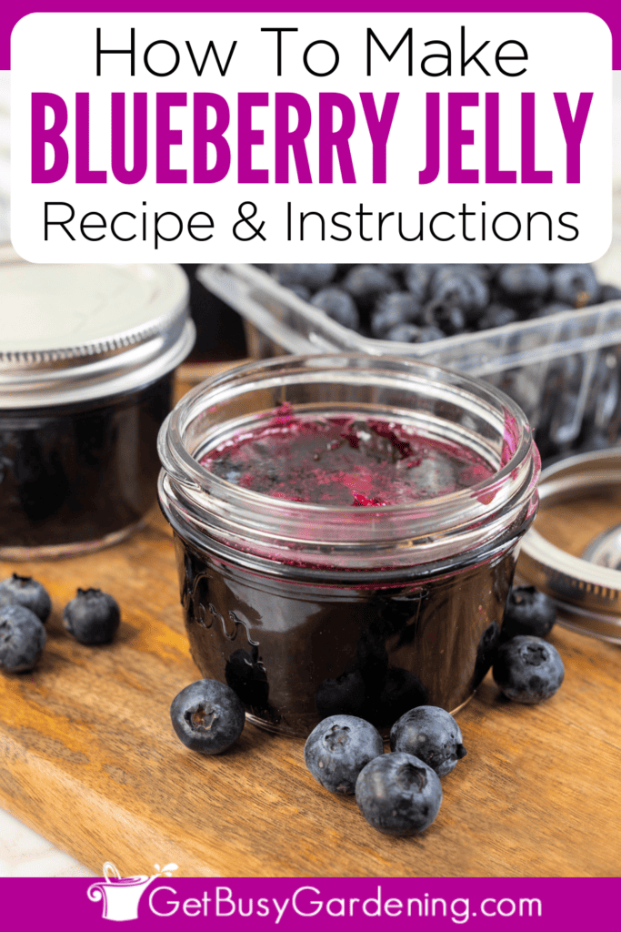 How To Make Blueberry Jelly Recipe & Instructions