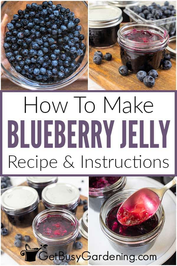 How To Make Blueberry Jelly Recipe & Instructions
