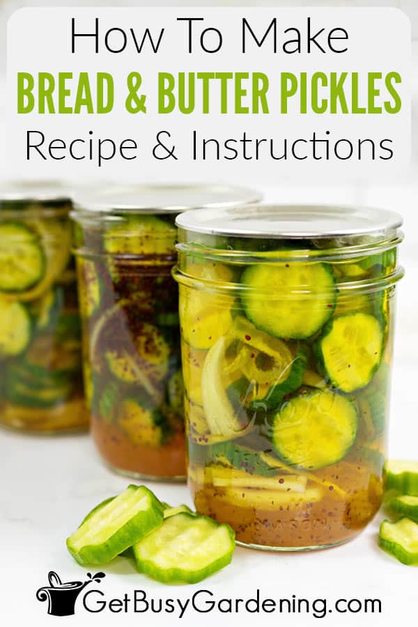 How To Make Bread & Butter Pickles Recipe & Instructions