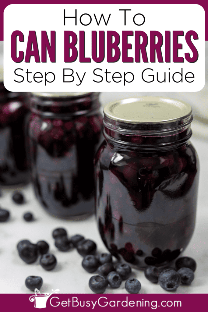 How To Can Blueberries Step By Step Guide