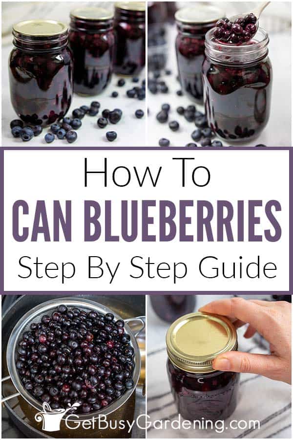 How To Can Blueberries Step By Step Guide