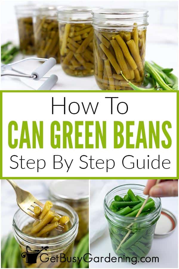 How To Can Green Beans Step By Step Guide