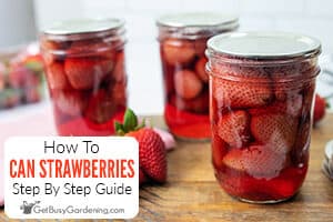 How To Can Strawberries The Right Way