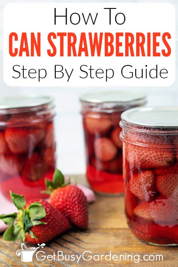 How To Can Strawberries Step By Step Guide