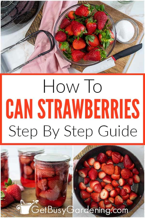 How To Can Strawberries Step By Step Guide