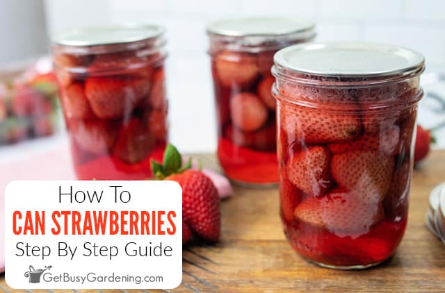 How To Can Strawberries The Right Way