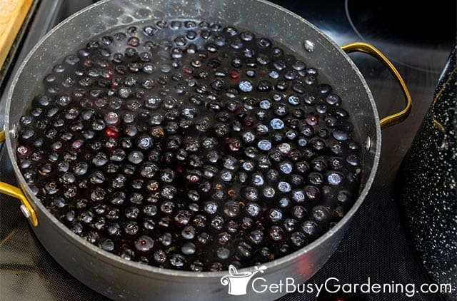 Cooking blueberries before canning