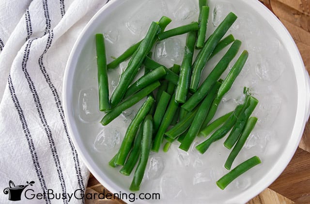 Cooling blanched green beans before freezing