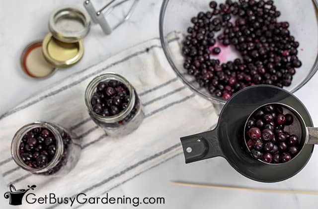 Filling canning jars with blueberries