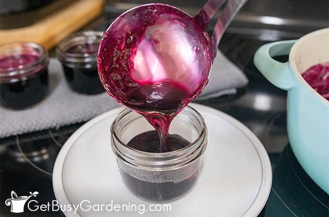 Filling mason jars with blueberry jelly