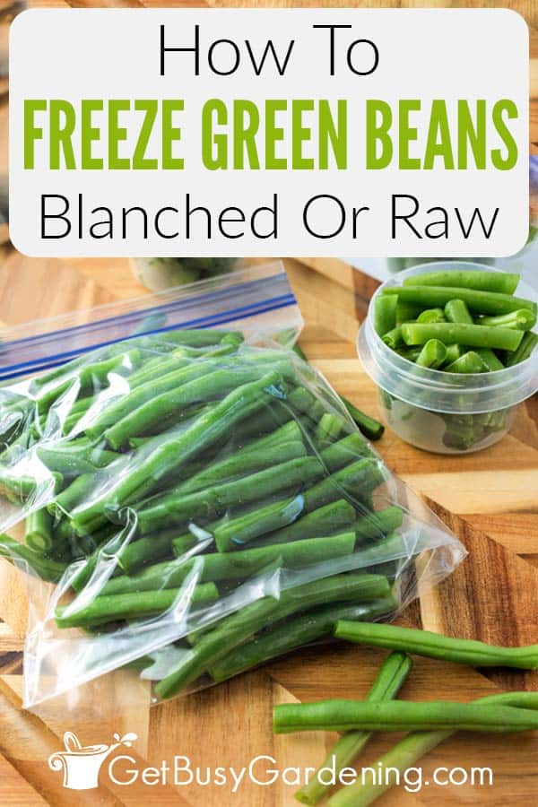 How To Freeze Green Beans Blanched Or Raw