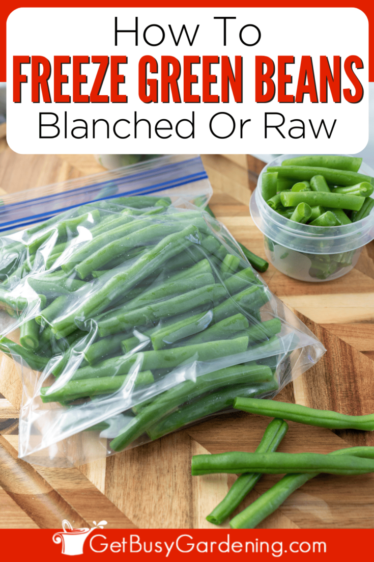 How To Freeze Green Beans (With Or Without Blanching)