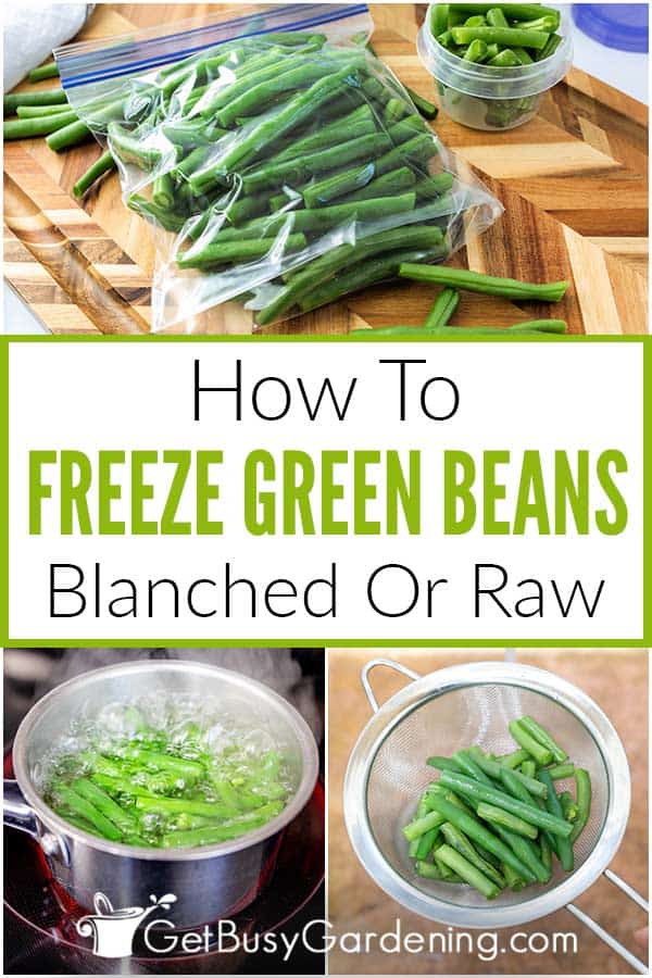 How To Freeze Green Beans Blanched Or Raw
