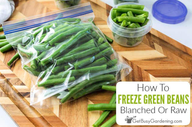 Freezing Green Beans With Or Without Blanching