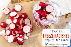 How To Freeze Radishes The Right Way