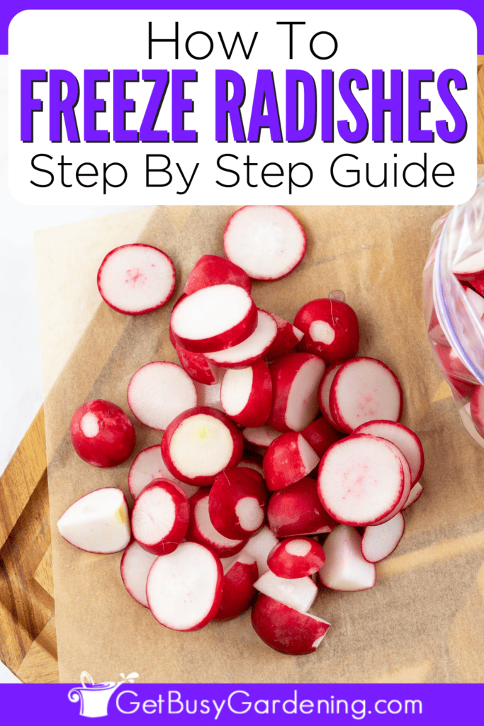 How To Freeze Radishes Step By Step Guide