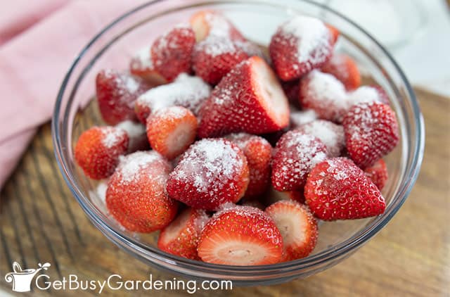 Fresh strawberries sprinkled with sugar