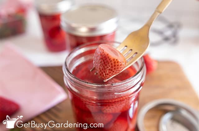 Getting ready to eat my canned strawberries