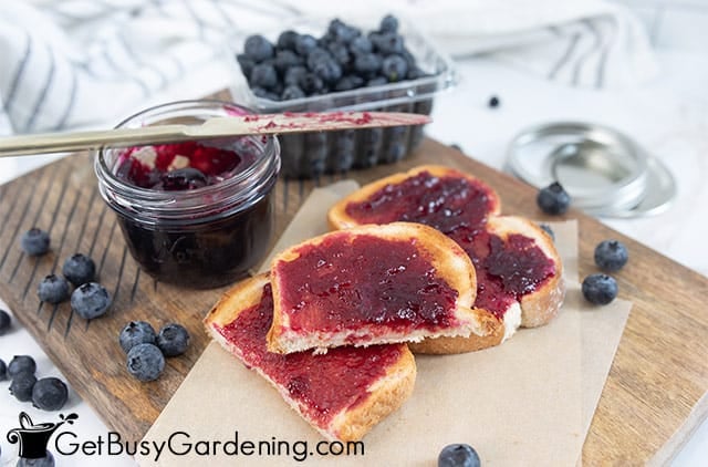 Homemade blueberry jelly spread on toast