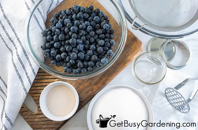 Ingredients to make blueberry jelly