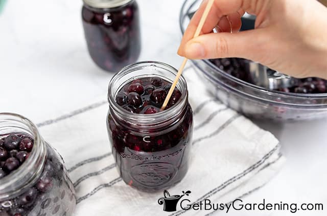 Popping air bubbles in a jar of blueberries