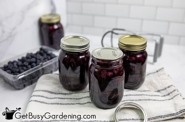 Sealed canned blueberries ready for storage