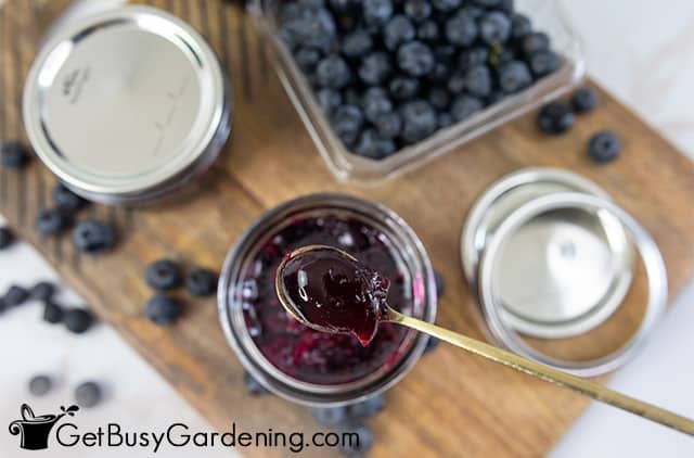 Spoonful of freshly made blueberry jelly