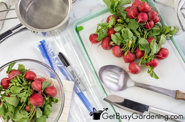 Supplies needed for freezing radishes