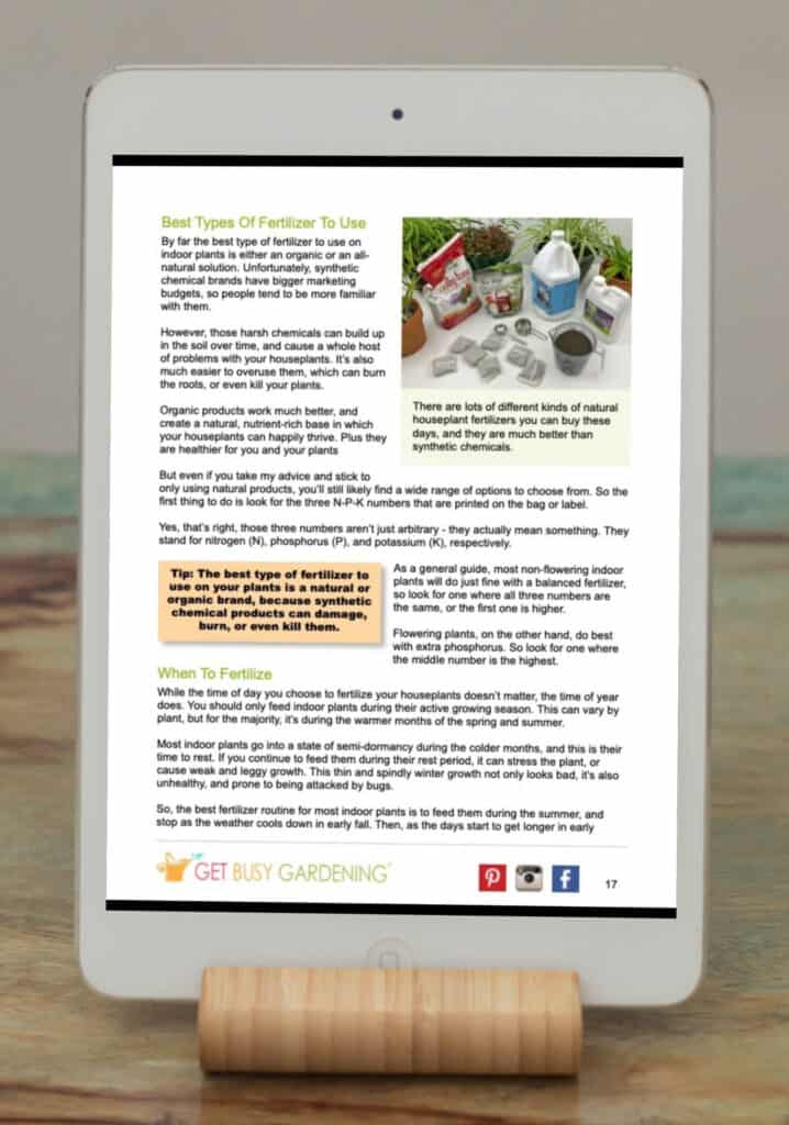 Houseplant Care eBook sample content page 2