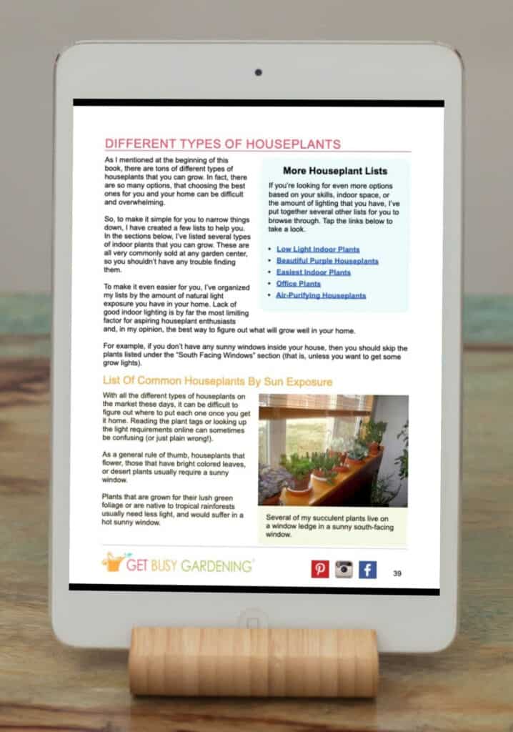 Houseplant Care eBook sample content page 3