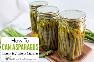 How To Can Asparagus