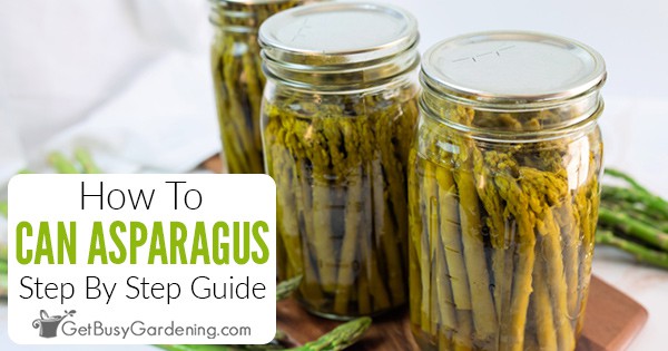https://getbusygardening.com/wp-content/uploads/2023/04/canning-asparagus-FB.jpg