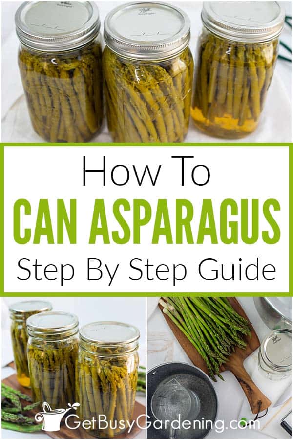 How To Can Asparagus Step By Step Guide
