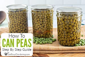 How To Can Peas: Easy, Safe Recipe