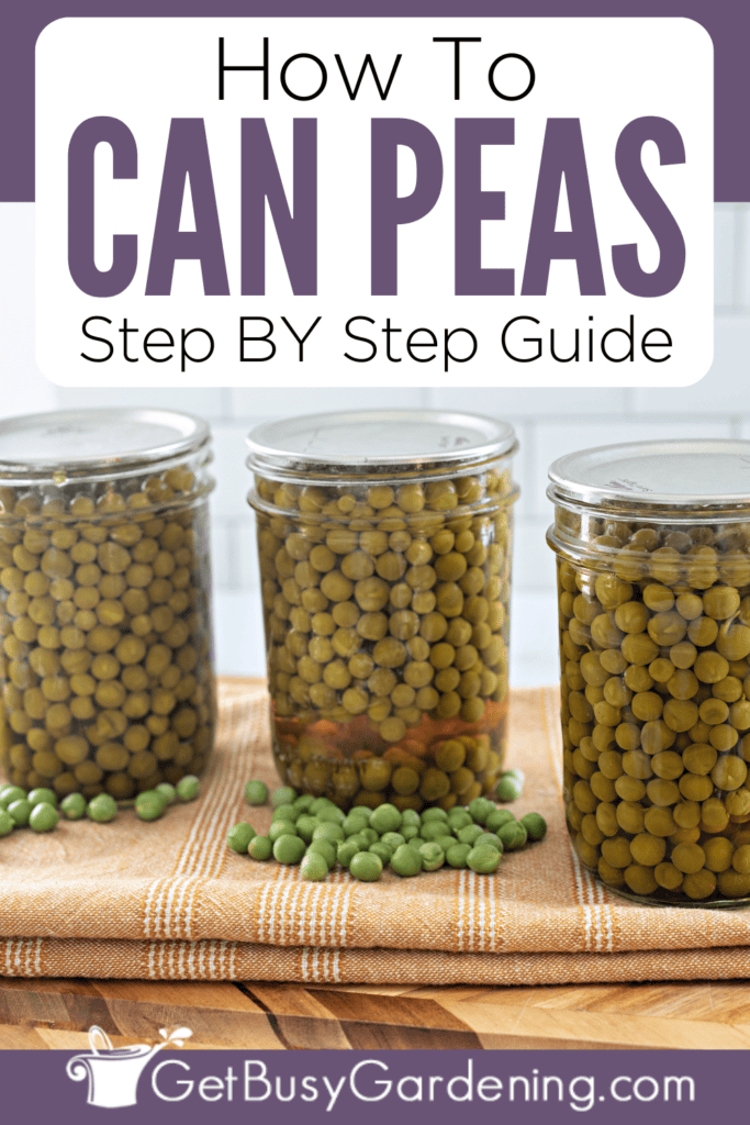 How To Can Peas Step By Step Guide